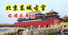 国模性爱中国北京-东城古宫旅游风景区